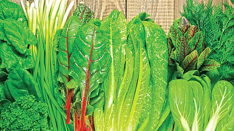 Metabolic Syndrome | 