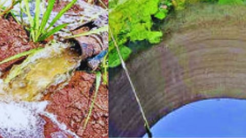 नदी परिसरात केमिकलयुक्त पाणी टाकल्याची घटना