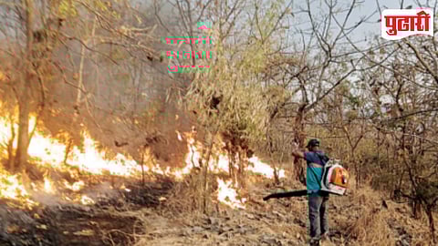 Panshet Forest Fire