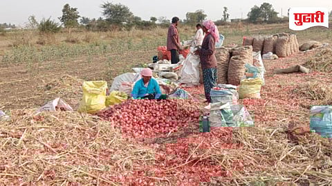 Junnar Onion Farmers