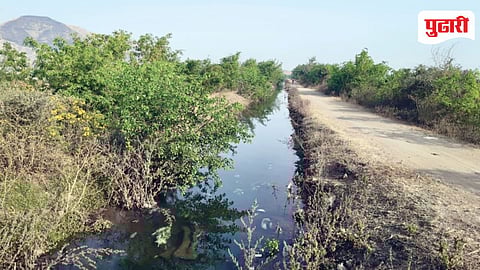 Nira Left Canal Water