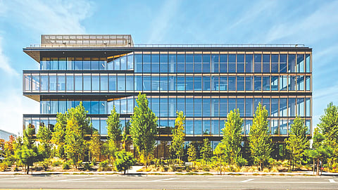 Google Mass Timber Office | 