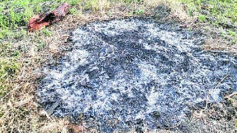 Rural electricity theft