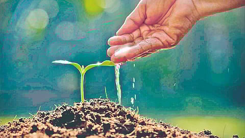 Water conservation awareness | 