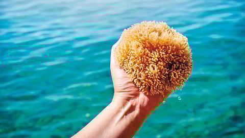 with out skeleten body |