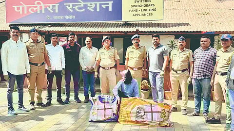 Ganja cultivation case 