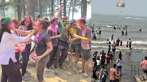 Raigad News : रायगडात होळी-धुळवडीचा सण उत्साहात साजरा, रंगात रंगले होळकरी