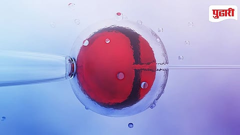 बीजांड बेकायदेशीर विक्रीप्रकरणी मोक्का लावण्याचा विचार; राज्यमंत्री योगेश कदम