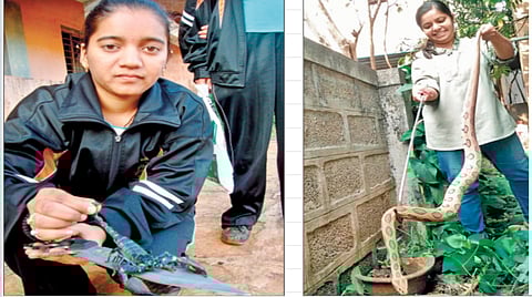 कोल्हापूर :  पर्यावरणातील सर्प-विंचू यांचे रेस्क्यू करताना प्राची तानवडे व अश्विनी जाधव -कसबेकर. 