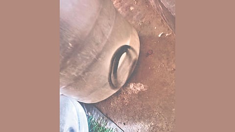 Snake found in water jar