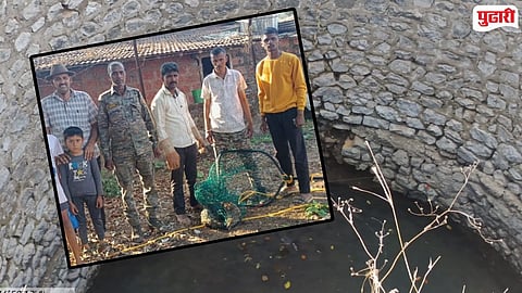 Fox Rescued from Well Amba