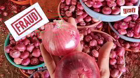 Onion News / 
कांदा