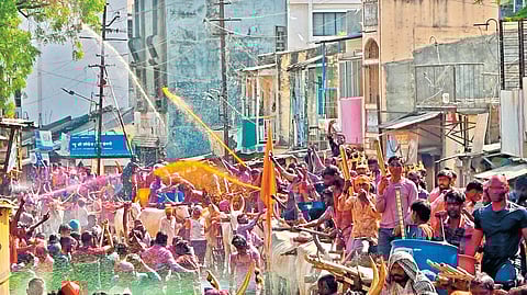 Solapur News: तब्बल 125 बैलगाड्यांच्या ताफ्यासह रंगांची उधळण