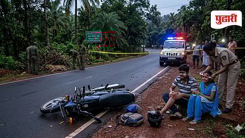 Goa bike hits leopard | दुचाकीची बिबट्याला धडक; भाऊ-बहीण जखमी