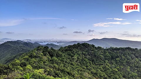 Sanjay Gandhi National Park