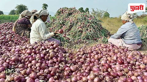 Junnar Onion Price