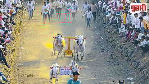 Lenyadri Bailgadi Race