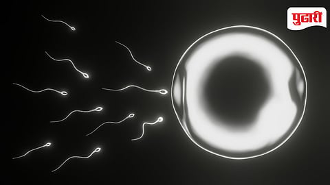 Illegal Sperm Bank Virar