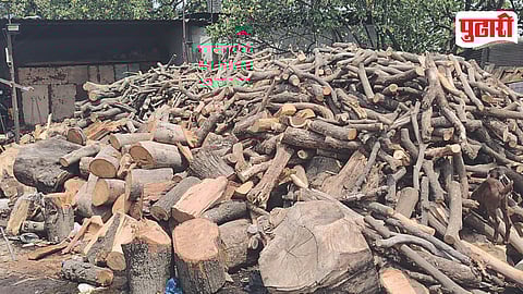 Firewood