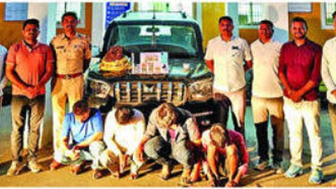 Solar pump wire theft case