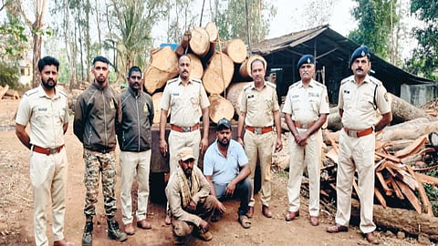 Gadhinglaj forest department action |