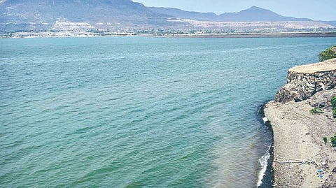 Satara News: जिल्ह्यातील धरणांमध्ये 124 टीएमसी पाणीसाठा