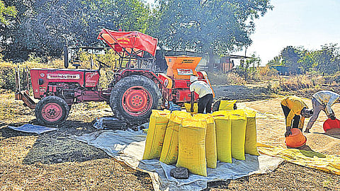 wheat harvesting with harvester