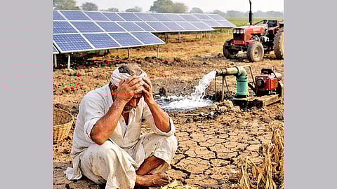 Lohara solar project