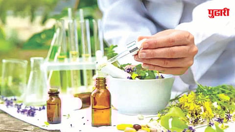 Allopathy Practice Maharashtra