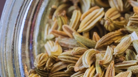 Fennel seeds benefits after food