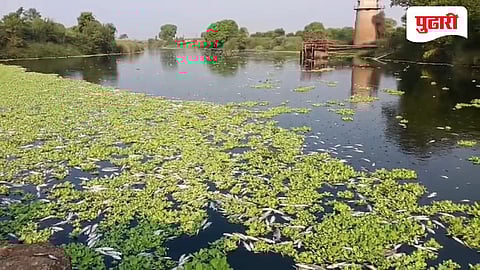 panchganga river pollution