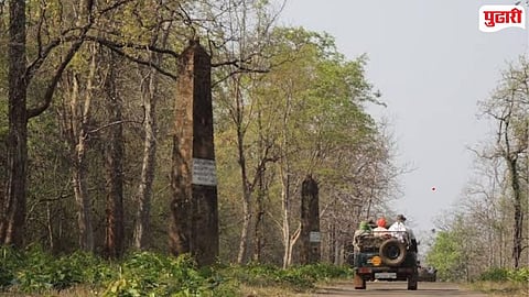 Historical Research Stone Pillars Tadoba