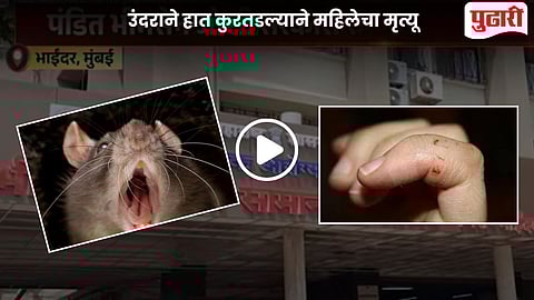 Rat Bite News Video