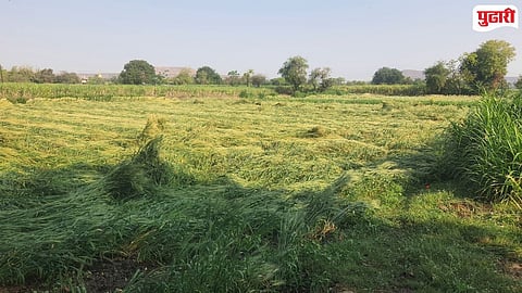 Hailstorm Impact on Farmers