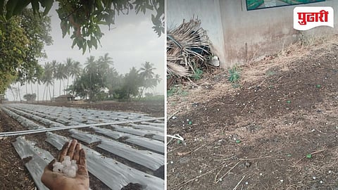 Kolhapur Unseasonal rain| कवठेगुलंद सह परिसरात गारांचा तडाखा: पिकांचे मोठे नुकसान 