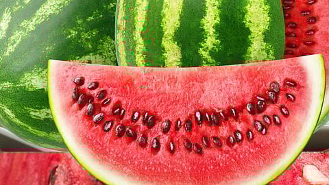 Sweet Watermelon Identification