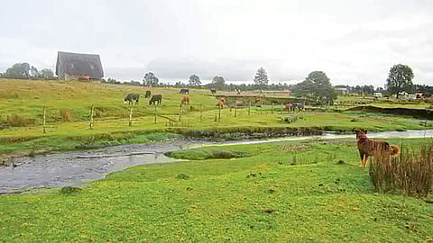 America Human settlement |