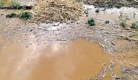 Solapur unseasonal rain