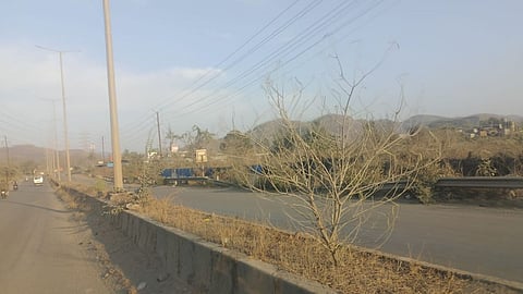 Boisar MIDC tree cutting