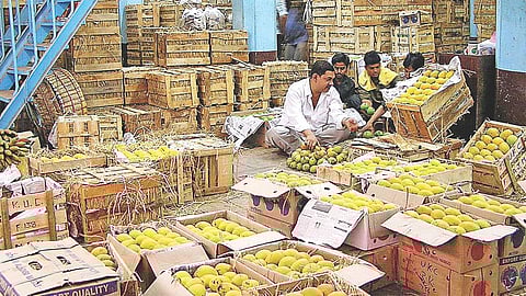 Hapus mango sales Mumbai