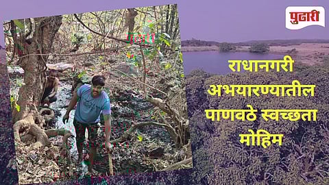 Radhangari Wild life