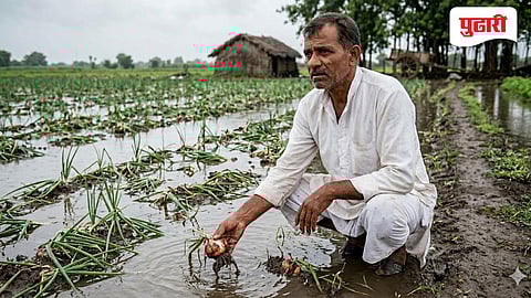 Unseasonal Rain Dhule | शेतीपिकांचे मोठे नुकसान, शेतकरी हवालदिल; कांद्याचे मोठे नुकसान