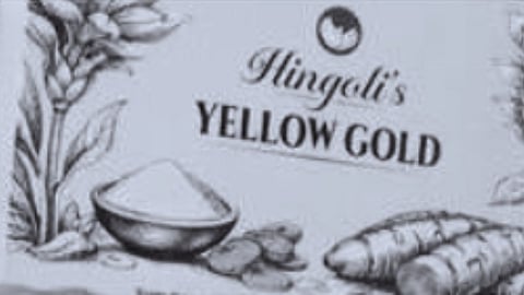 hingoli Turmeric news