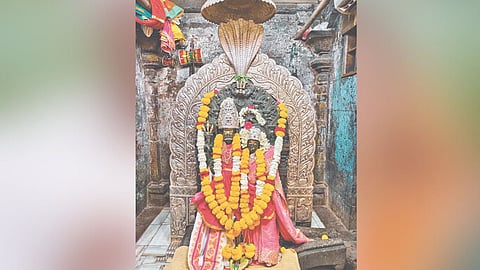 Shri Ardhanari Nateshwar Yatra