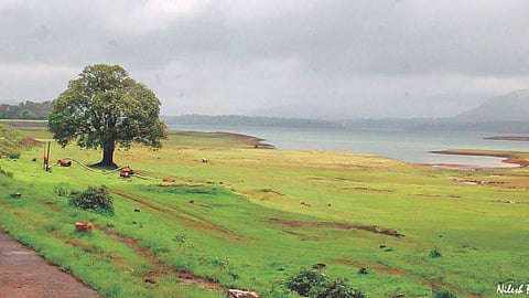 Mumbai lake water stock