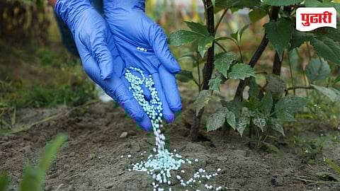 Fertilizer Price Hike: