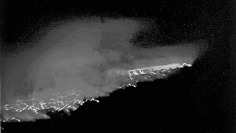 Sahyadri Tiger Reserve