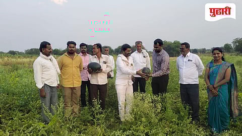 Beed Farmer Success Story | पदवीधर तरुणाची शेतीत 'कमाल'; केळीच्या बागेत आंतरपीक घेत कमावले ६ लाख