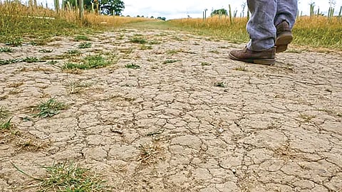 Public Health Risk | 