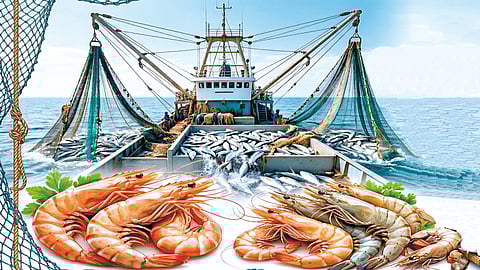 Maharashtra shrimp export | 